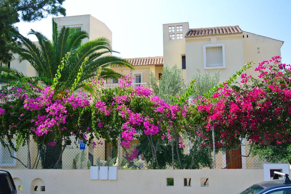 Apartamentos Venecia Roquetas de Mar Exterior foto